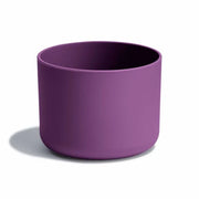 Beachplum Purple
